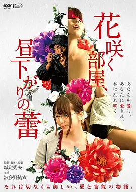 旧胶片放映室条目封面：放映机光束穿过昏暗影厅